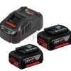 Pack 2 Batteries 18V 5,0Ah + Chargeur Bosch GBA + GAL 1880 CV